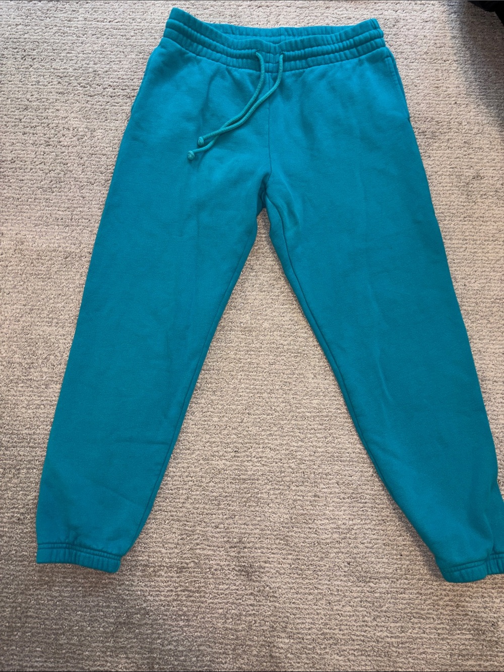 TNA Teal Relaxed Jogger Pants with Drawcord